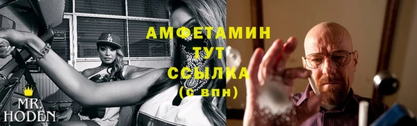 гашик Няндома