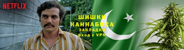 винт Аркадак