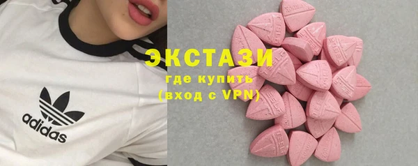 гашик Няндома