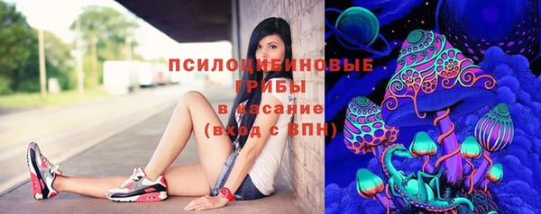 гашик Няндома